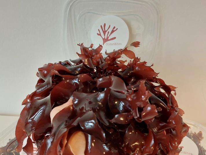 A handful of fresh dulse