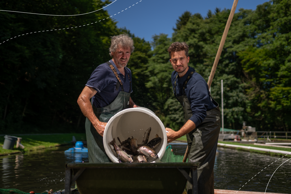 Two men emptying large container of trout. An artificial fishpond and trees are visible behind them.