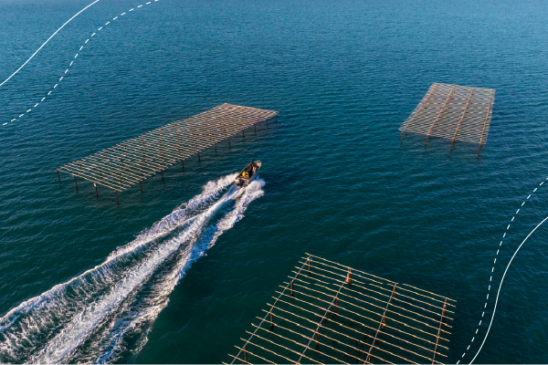 Small fishing boat glides across the water, passing three platforms made of wooden poles.