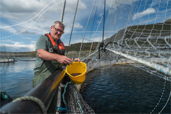 Man standing beside marine fish pen holding bucket of feed.